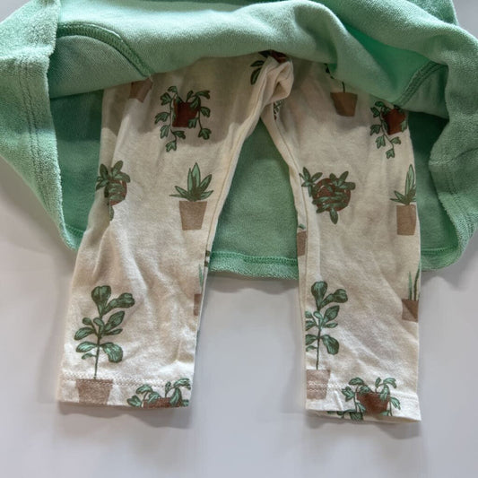 Plant Two Pc Set