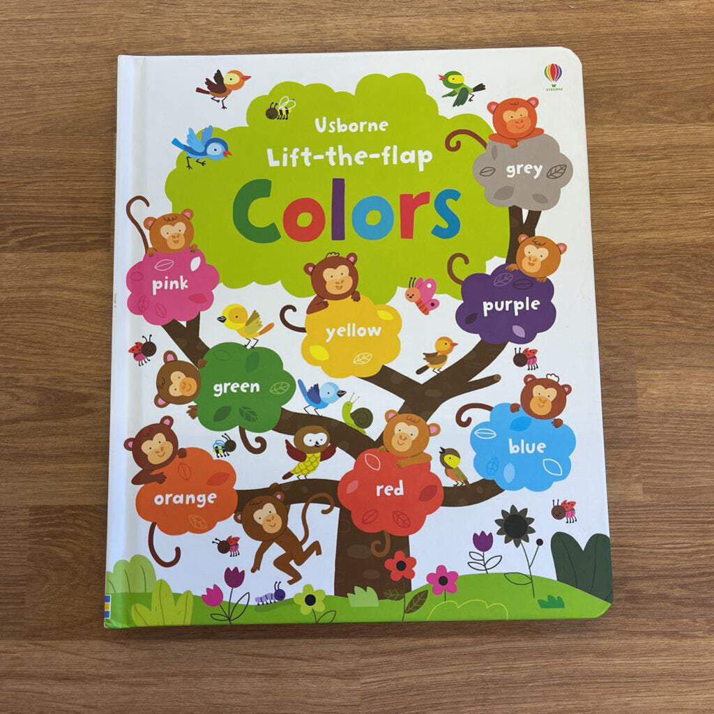 Usborne Lift the Flap Colors