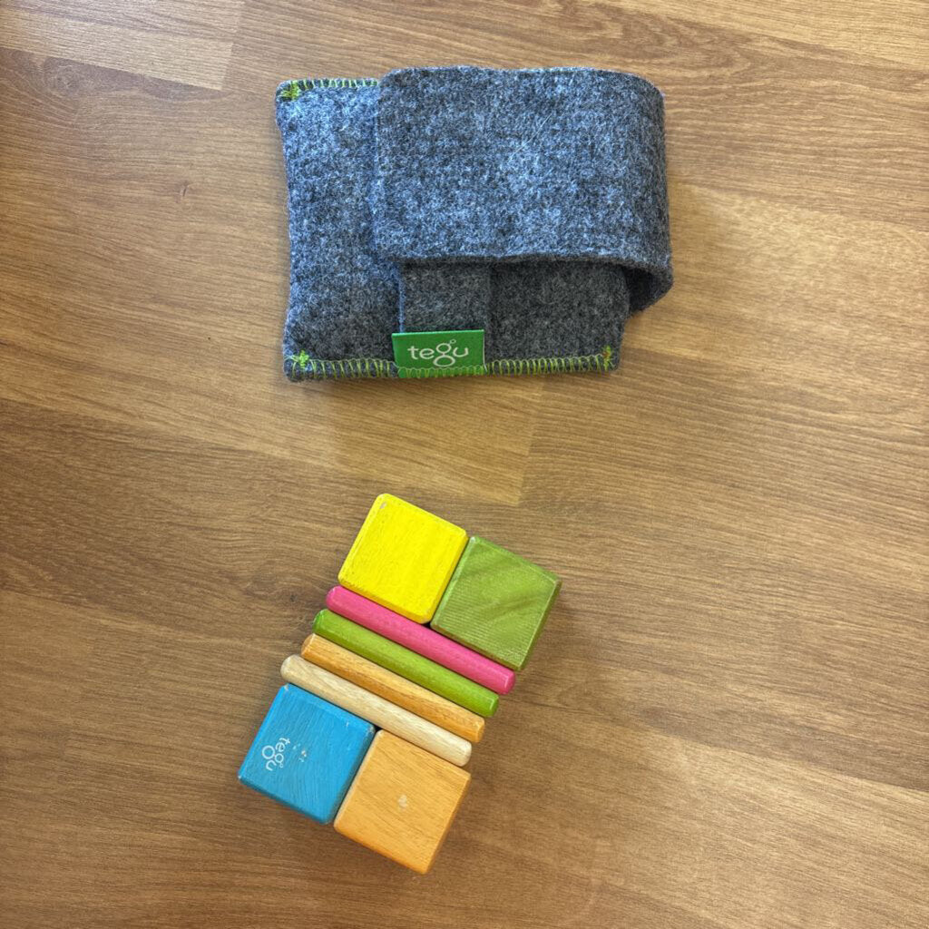 Tegu Magnetic Block Set w/ Travel Bag