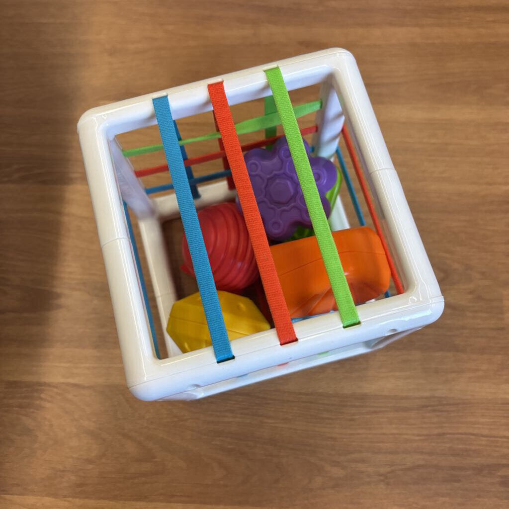 Sorting Bin Toy