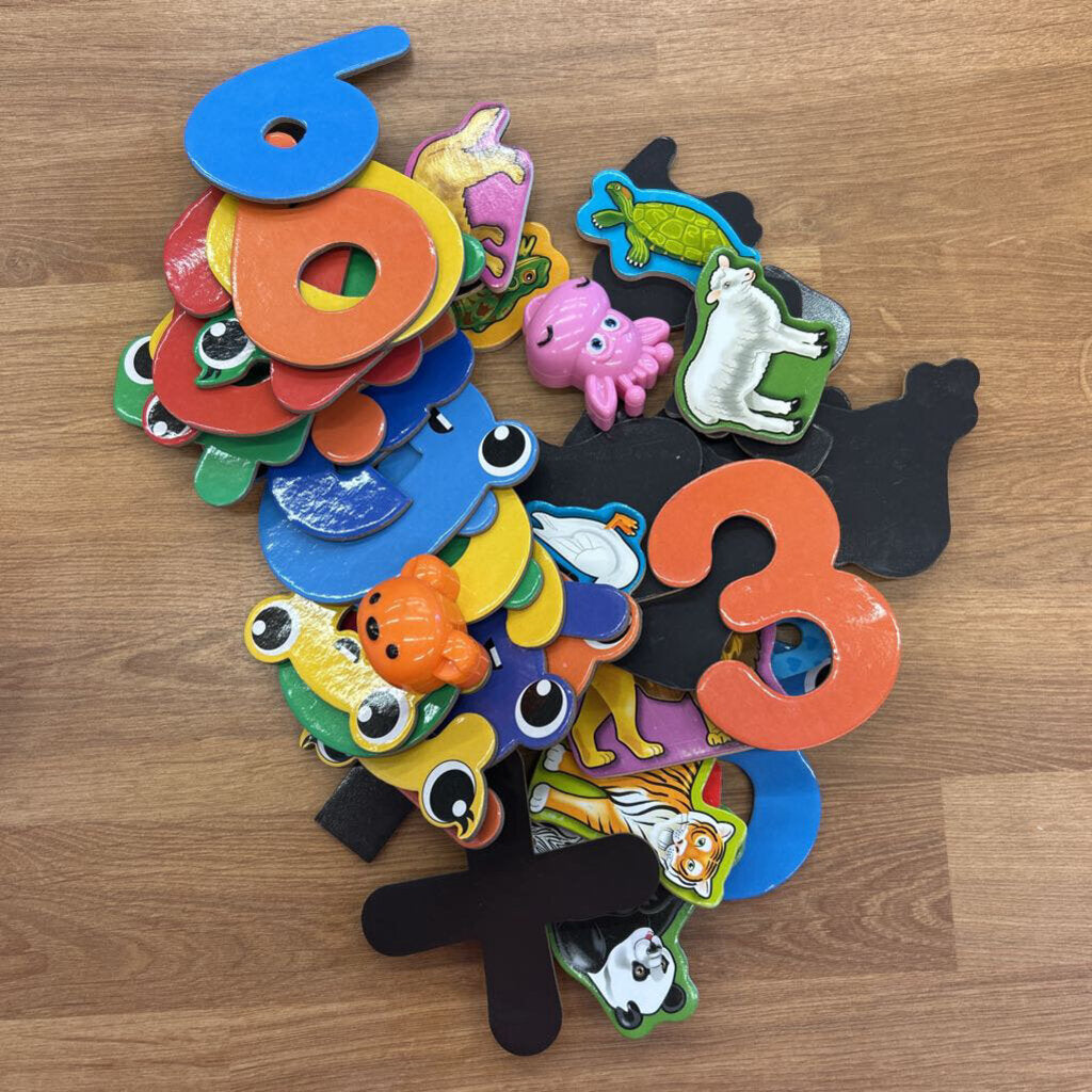 Bag of Misc. Magnets