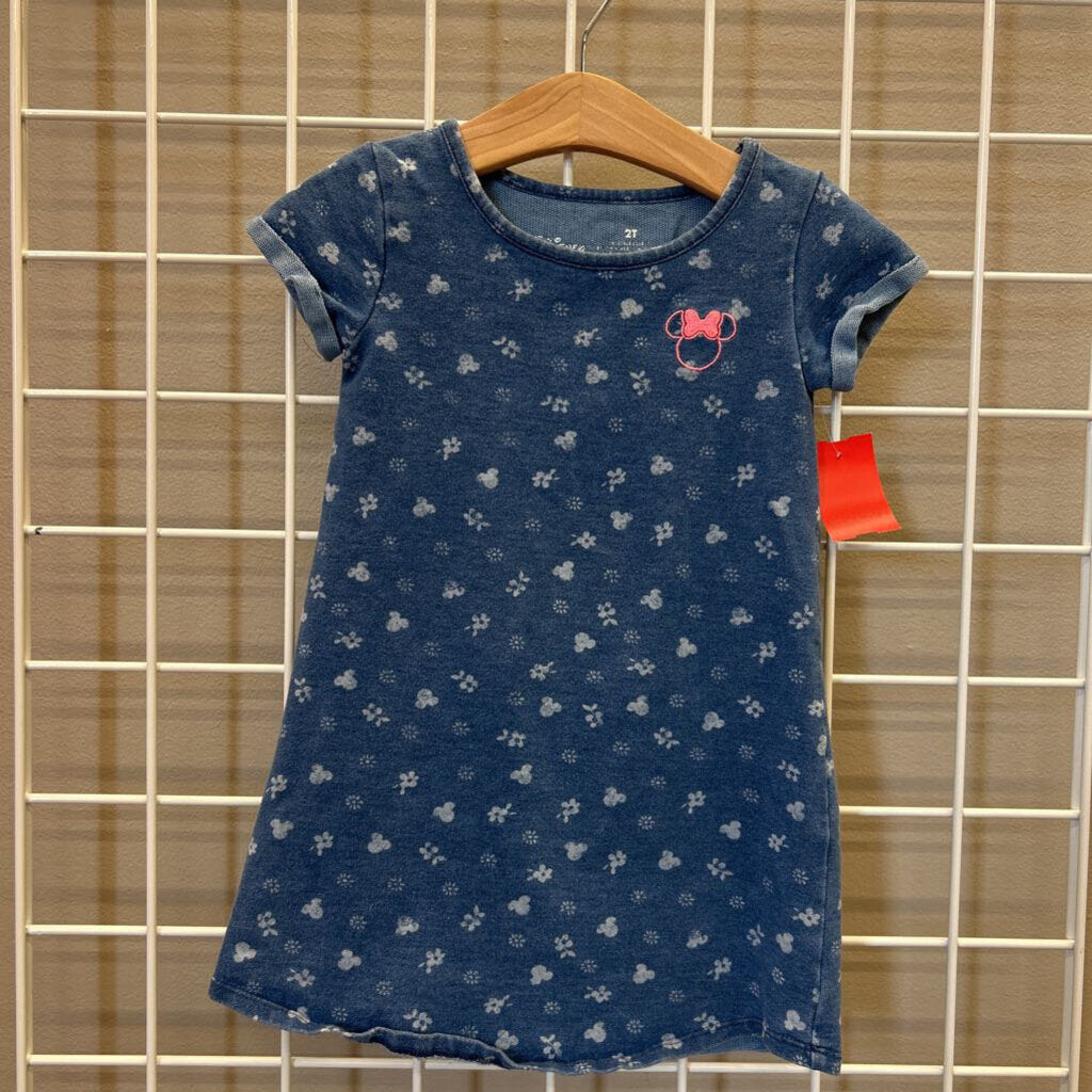 Disney Minnie Floral Denim Dress - 2T