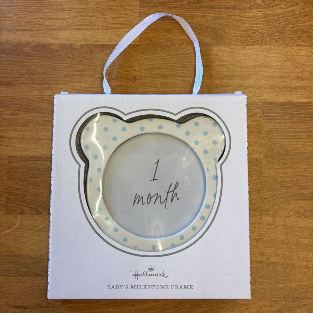 NEW Hallmark Baby's Milestone Frame