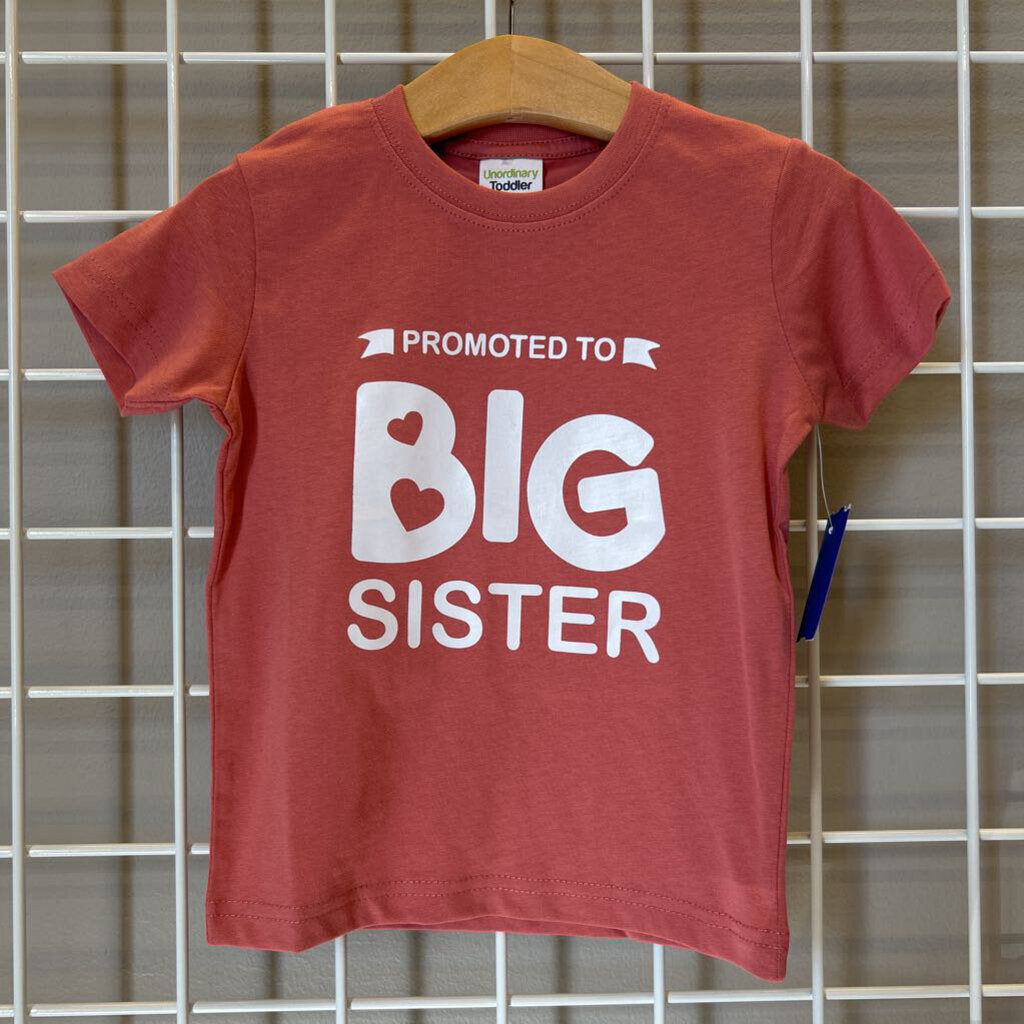 NWT Unordinary Toddler Big Sister SS Tee - 18m