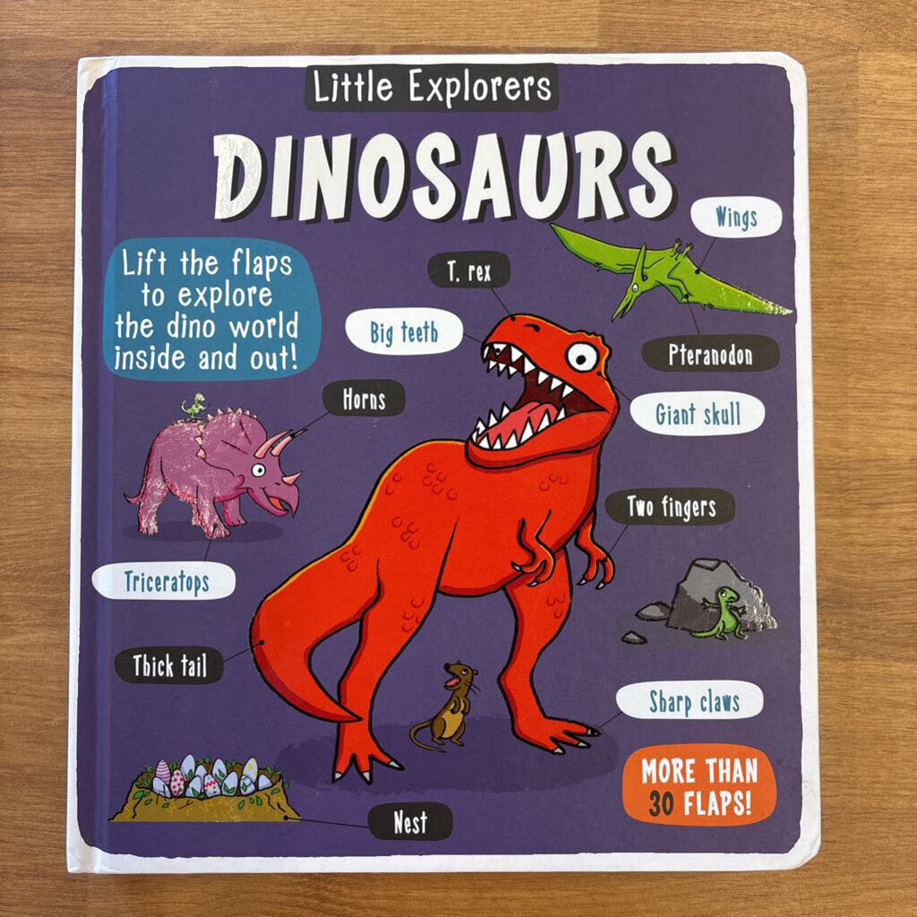 Little Explorers Dinosaurs