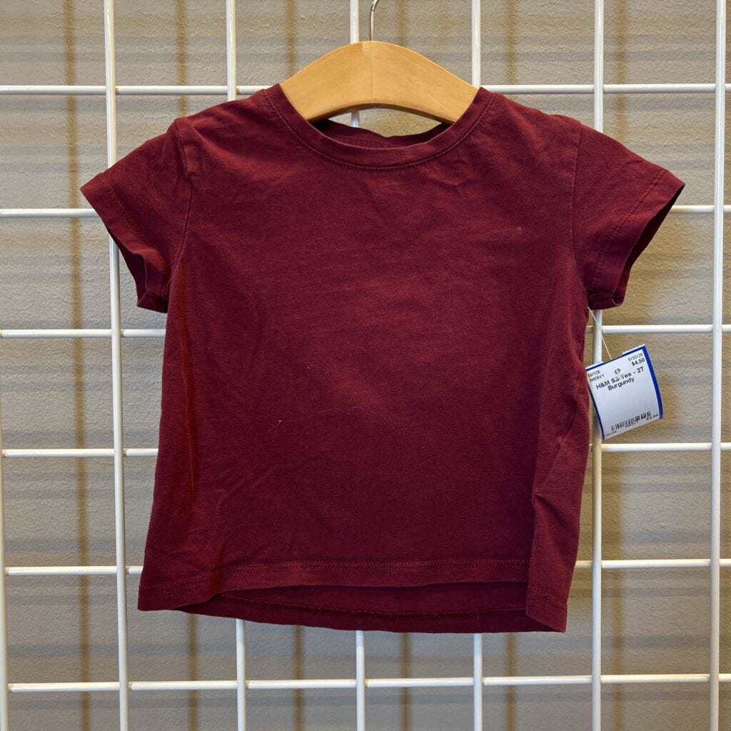 H&M SS Tee - 2T (runs small)