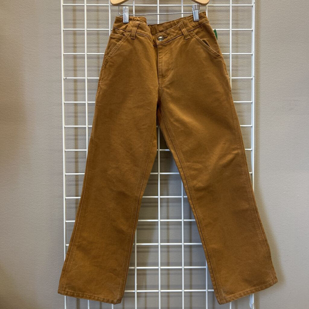 Carhartt Work Pants - 12