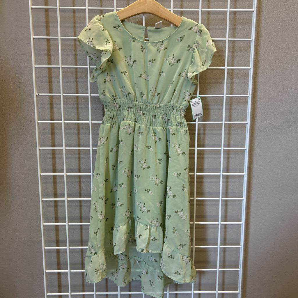 Sweet Butterfly Floral SS Dress - 6/6x