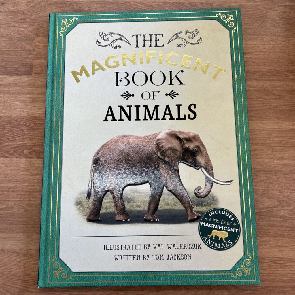 The Magnificent Book Of Animals