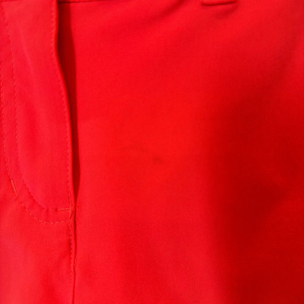 Nike Golf Shorts (small marks) - 8/9