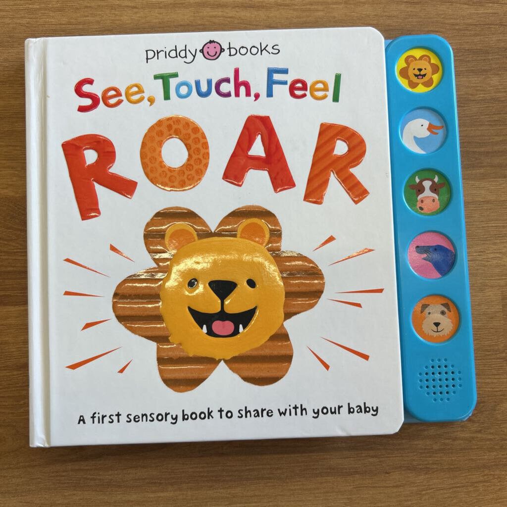 See, Touch, Feel ROAR