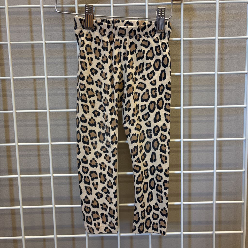 Janie & Jack Leopard Leggings (wear in knees) - 3