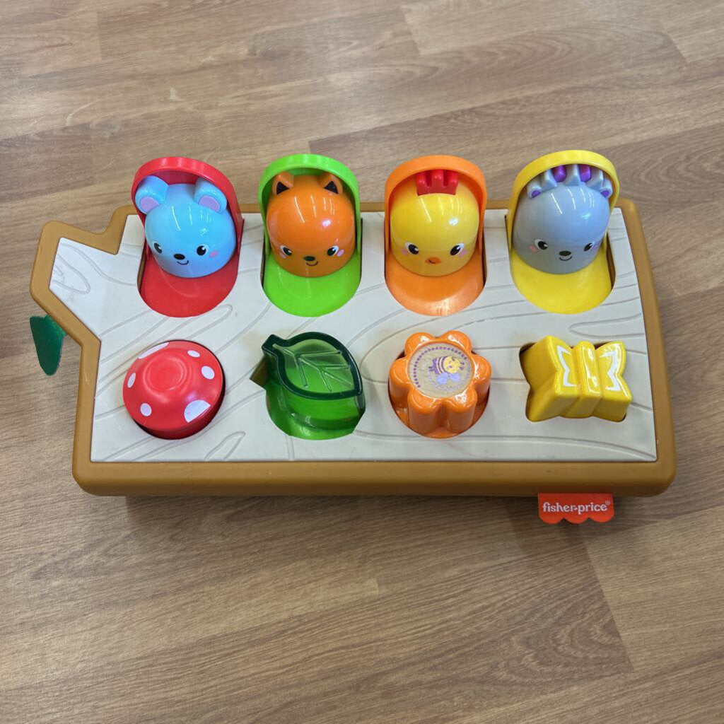 Fisher Price Garden Pop Up Toy