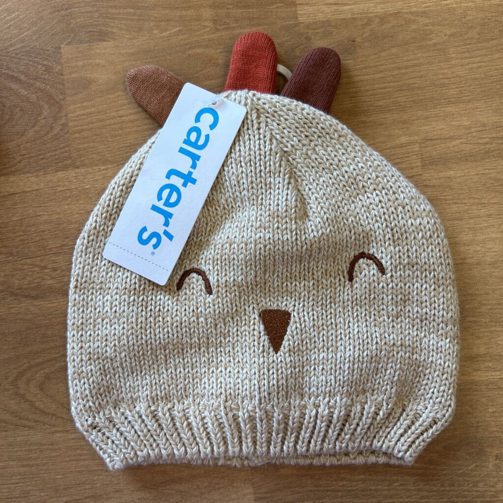 NWT Carter's Turkey Knit Hat - 12/24m