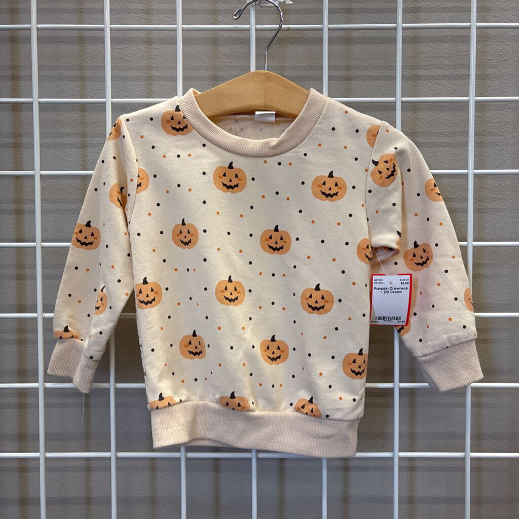 Pumpkin Crewneck ~ 2/3