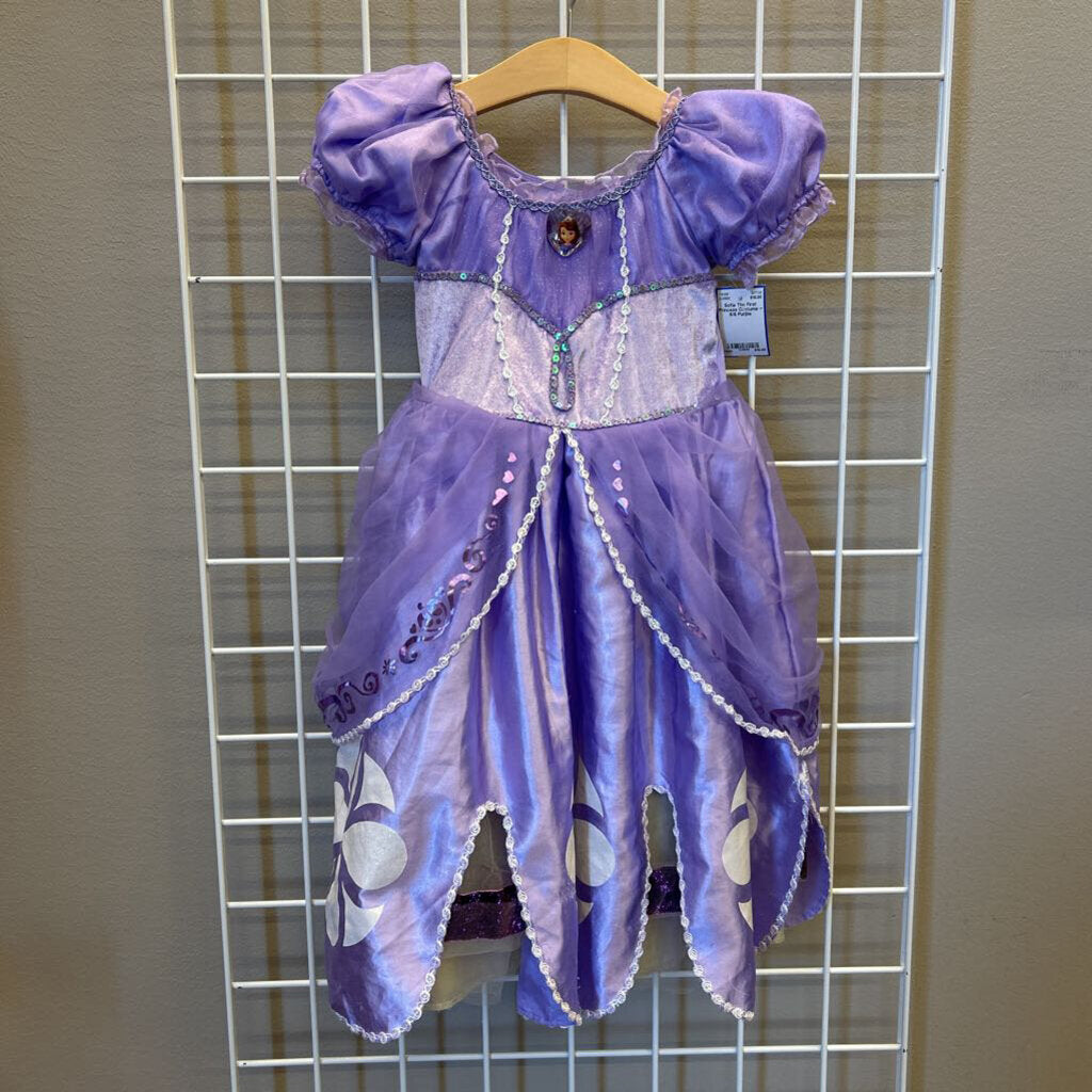 Sofia The First Princess Costume ~ 5/6