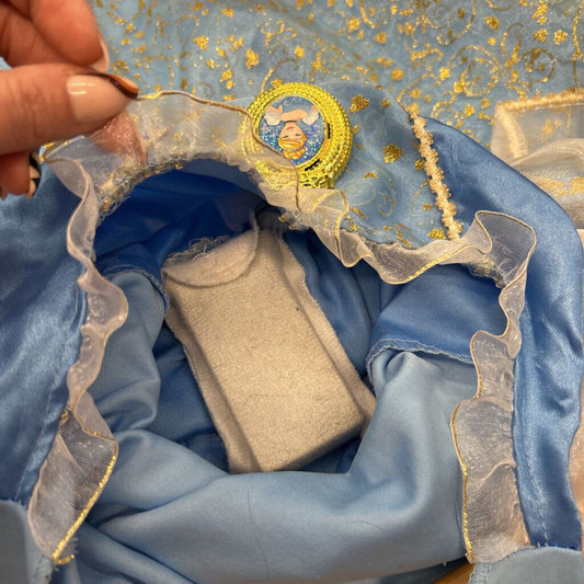 Cinderella Singing Costume - 4/6