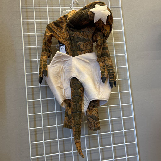 Baby Dino Costume - 12/18m