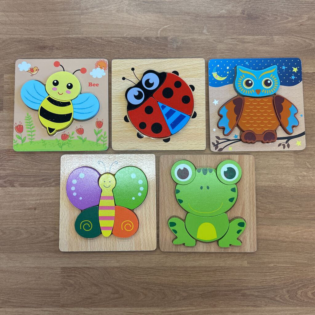 Set of 5 Wood Puzzles