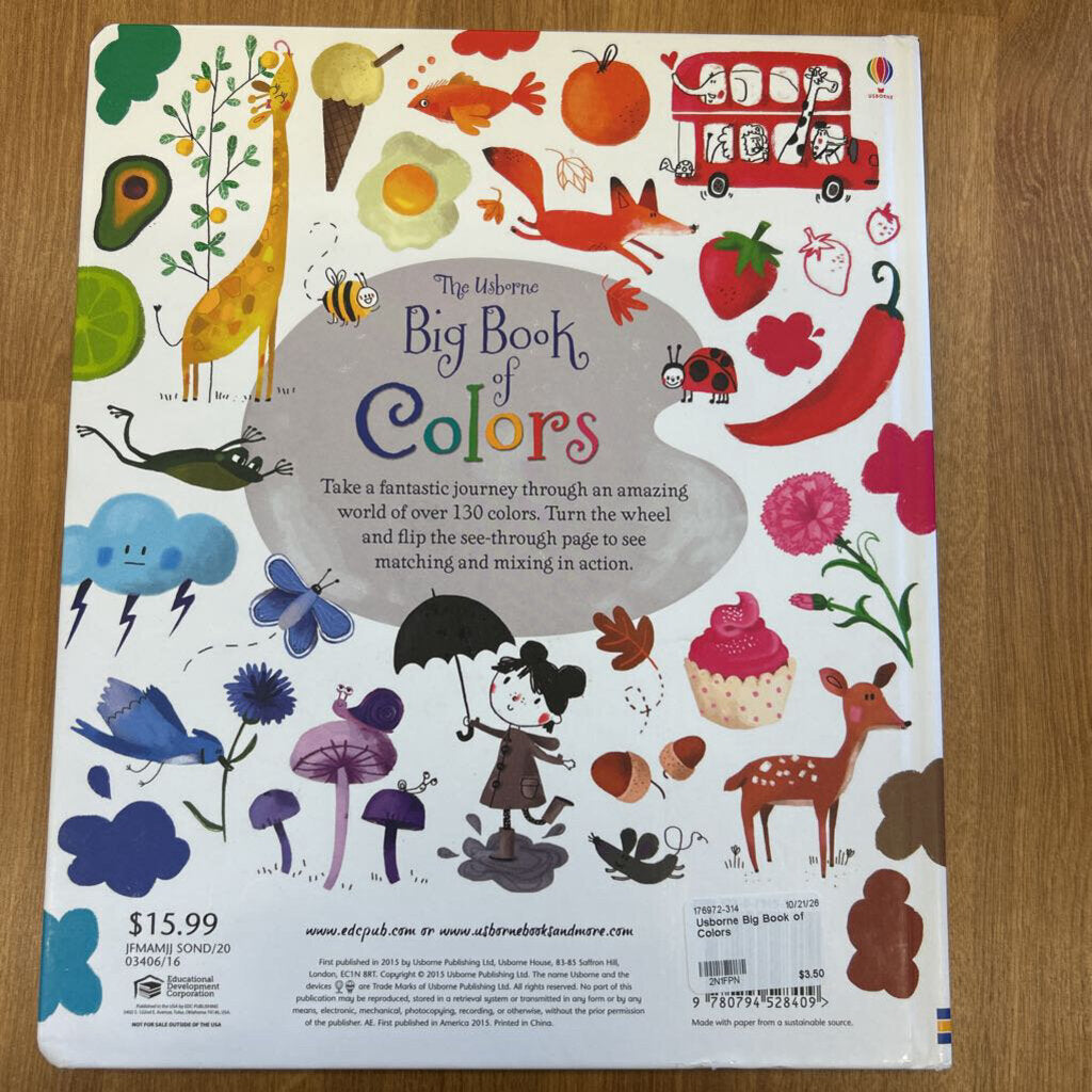 Usborne Big Book of Colors