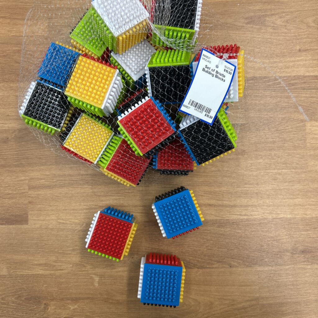 Set of Bristle Building Blocks