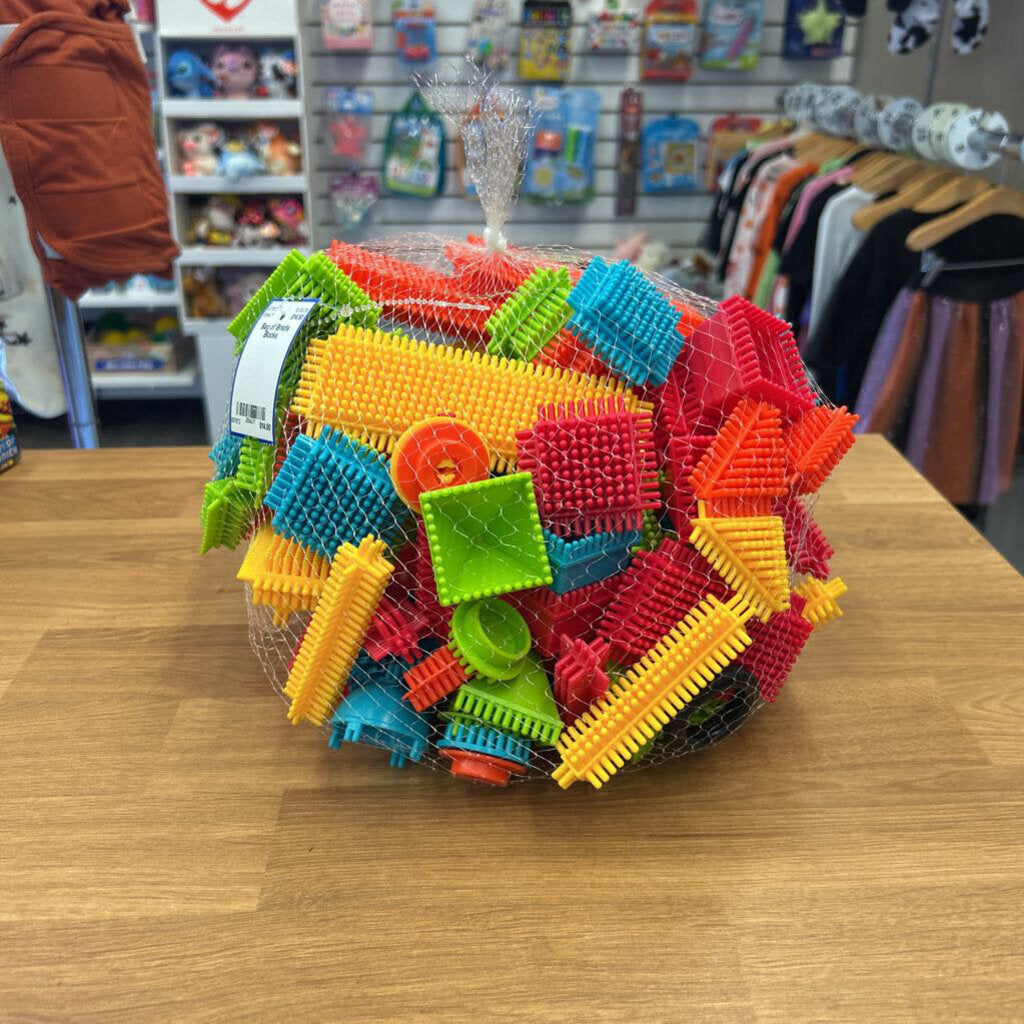 Bag of Bristle Blocks