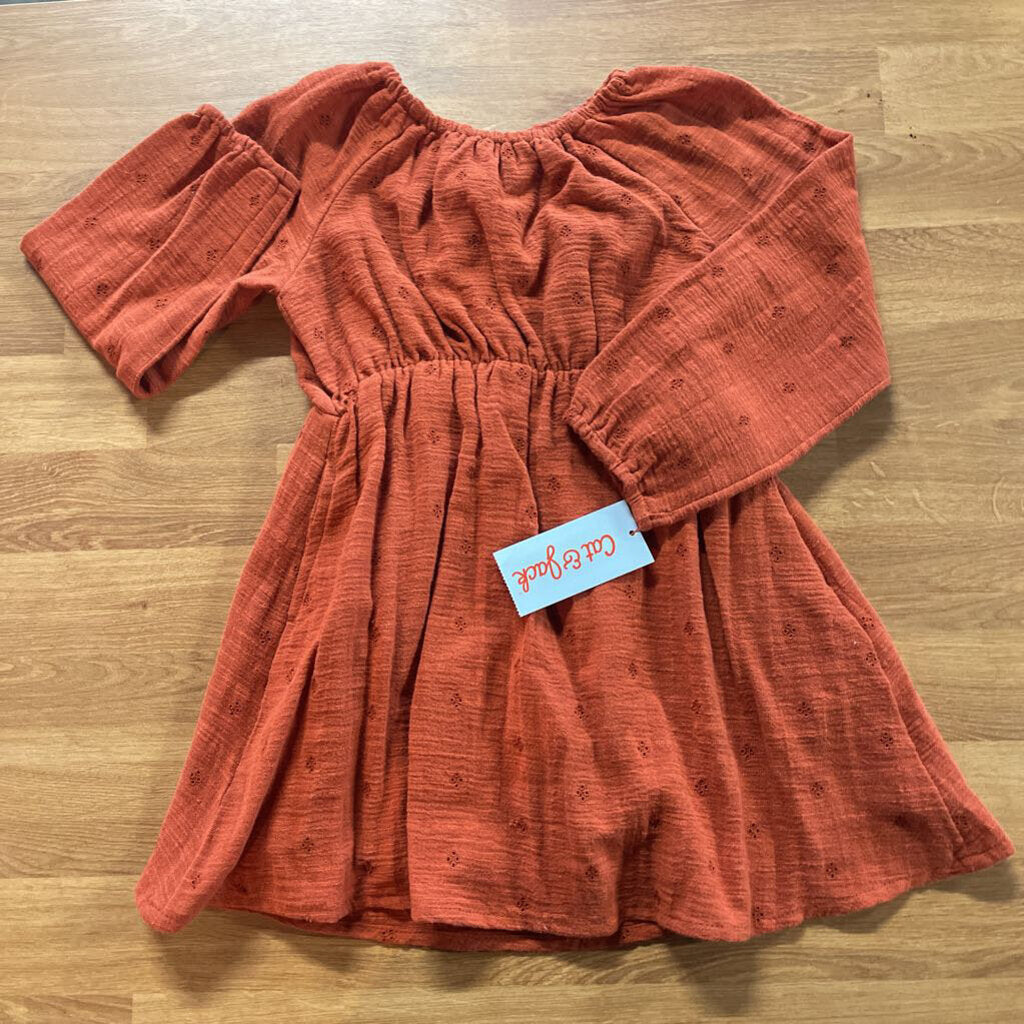 NWT Cat & Jack Eyelet LS Dress - 3T