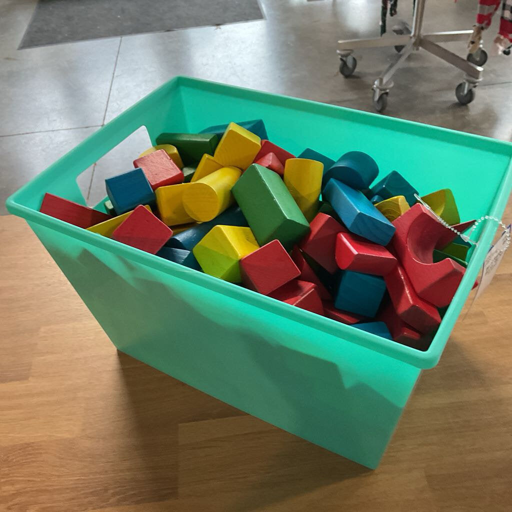 Bin of Rainbow Blocks *Bin Not Included*