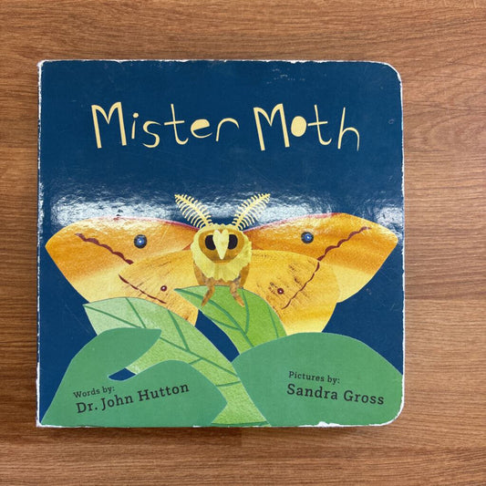 Mister Moth