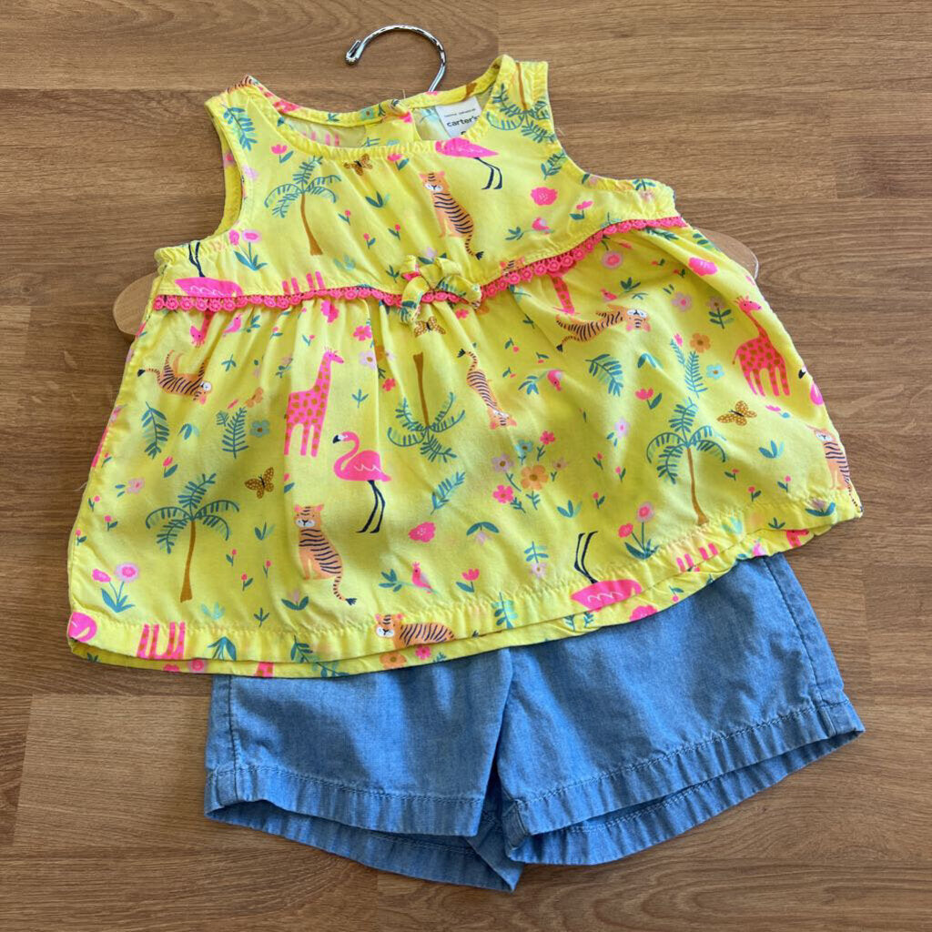 Carter's Tiger Two Pc Set - 9m