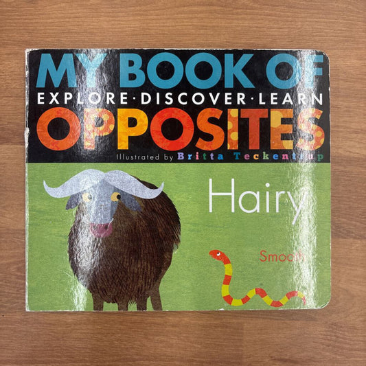 My Book of Opposites
