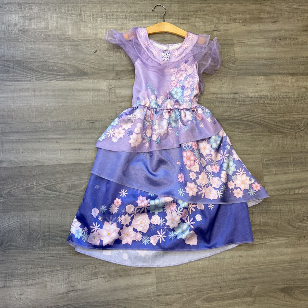 Isabella Costume Dress ~ 6/8