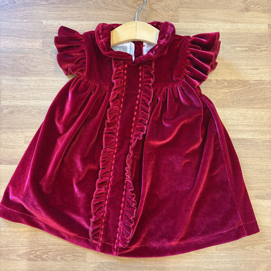 Lil' Cactus Velvet Holiday Dress - 6/12m