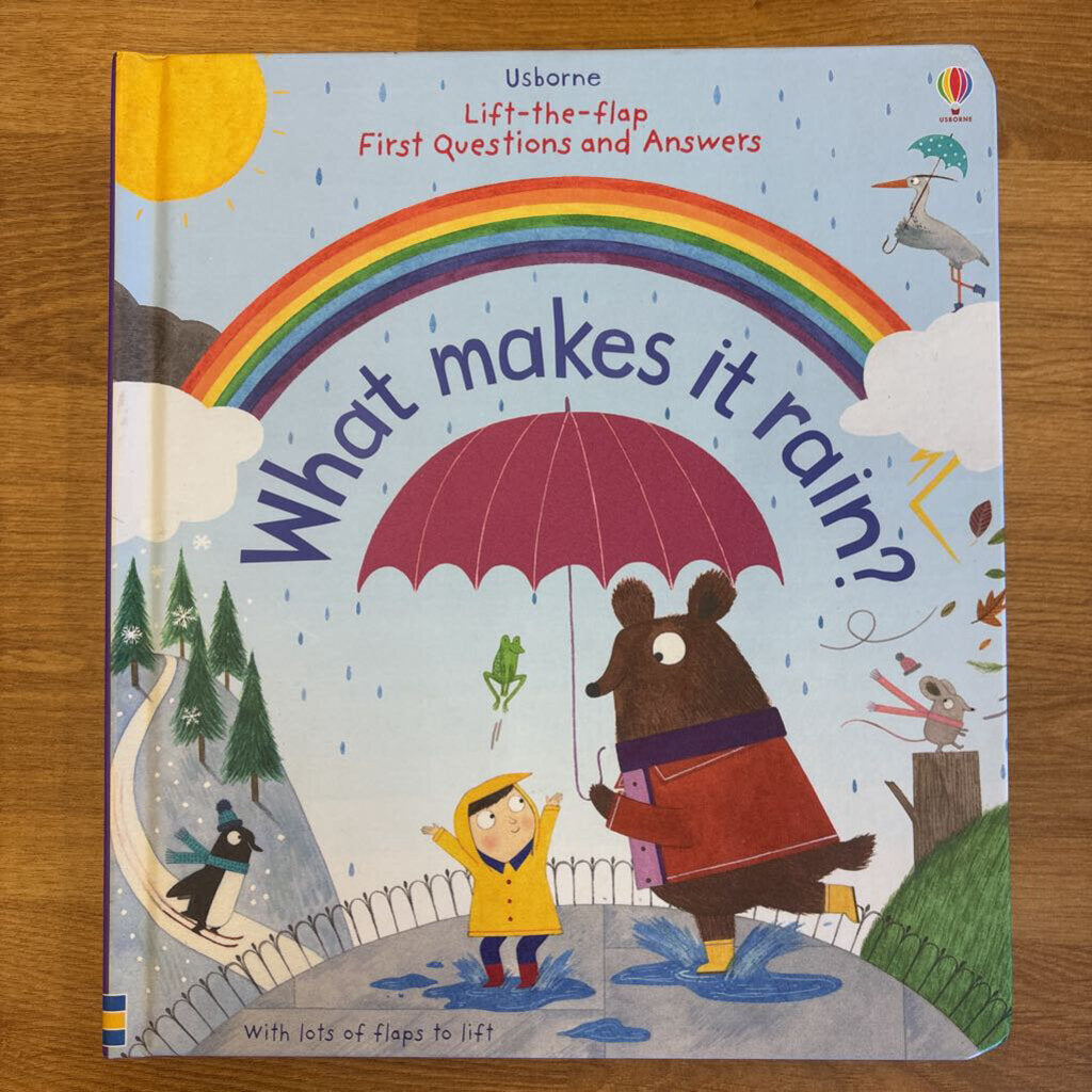 Usborne What Makes it Rain?