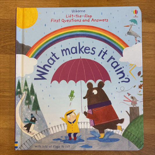 Usborne What Makes it Rain?