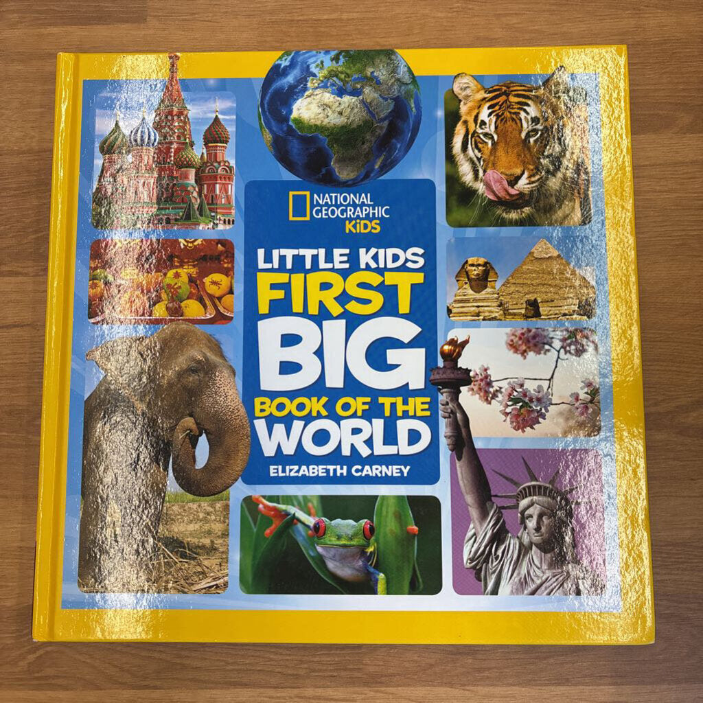 Little Kids Big Book of the World