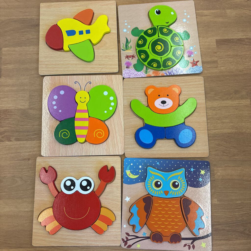Set of 6 Wood Puzzles