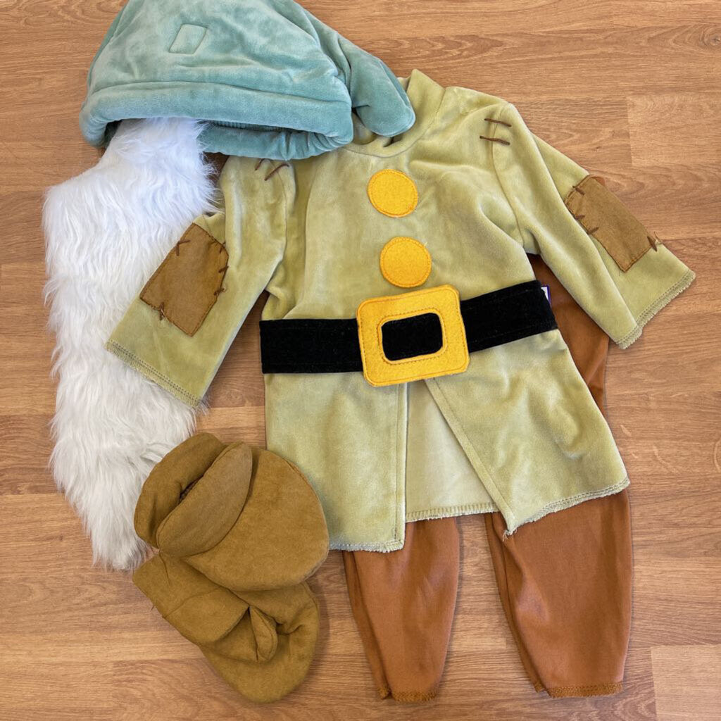Disney Dwarf Costume - 9/12m