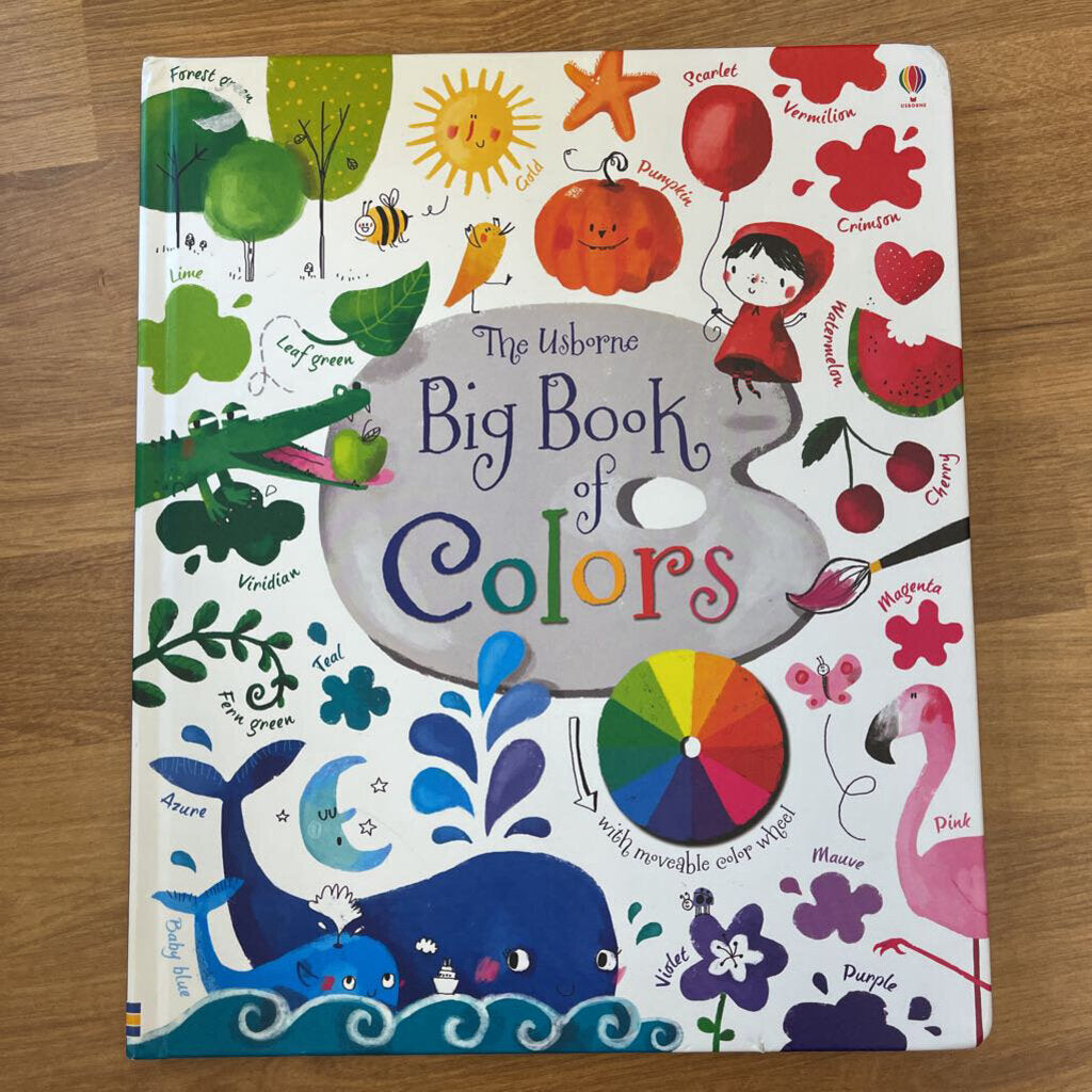 Usborne Big Book Of Colors