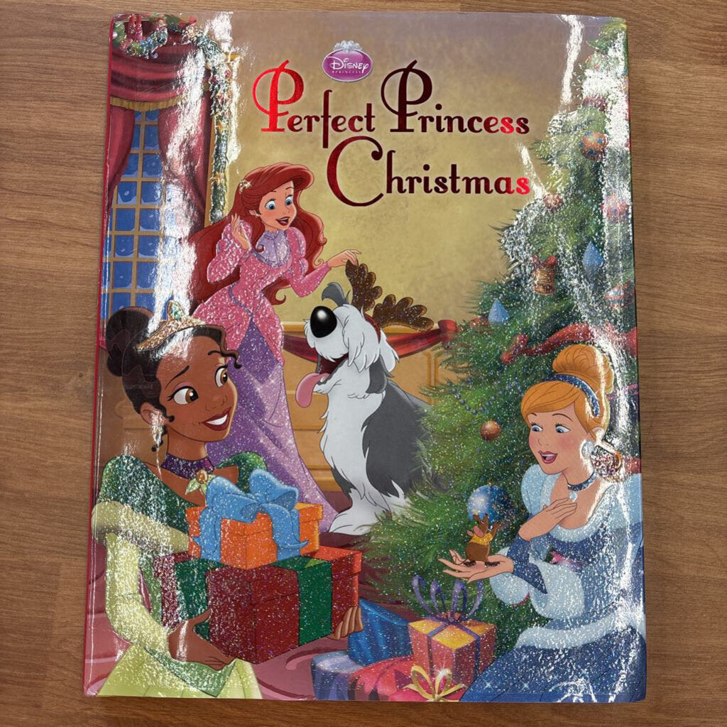 Disney Perfect Princess Christmas