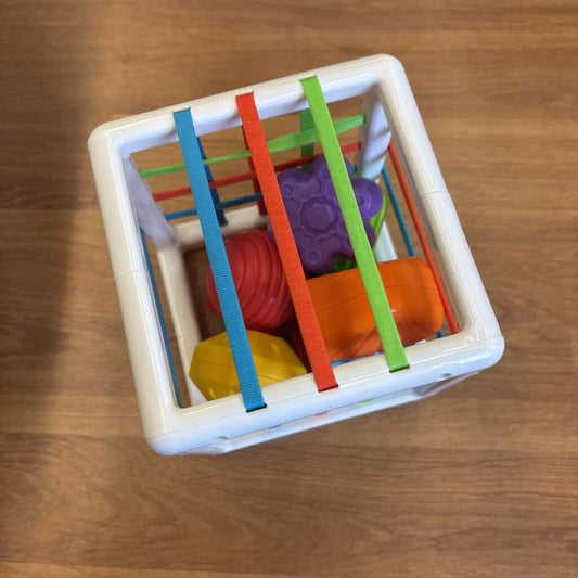 Sorting Bin Toy