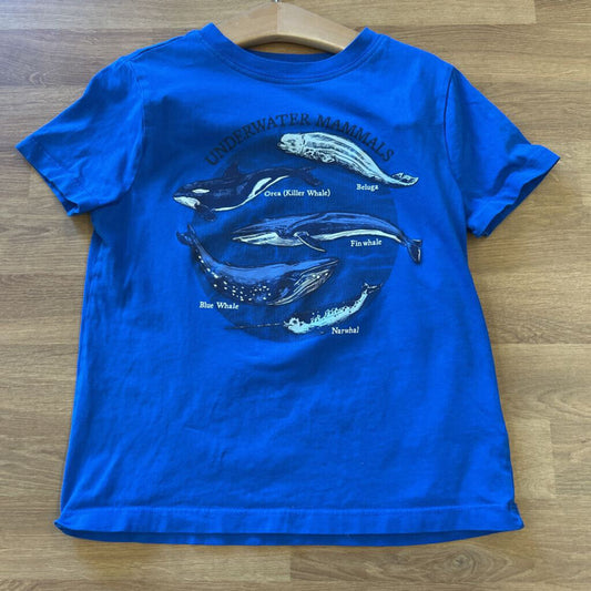 Carter's Whale SS Tee - 5/6