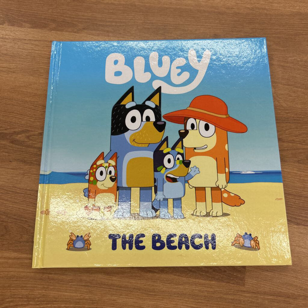 Bluey - The Beach