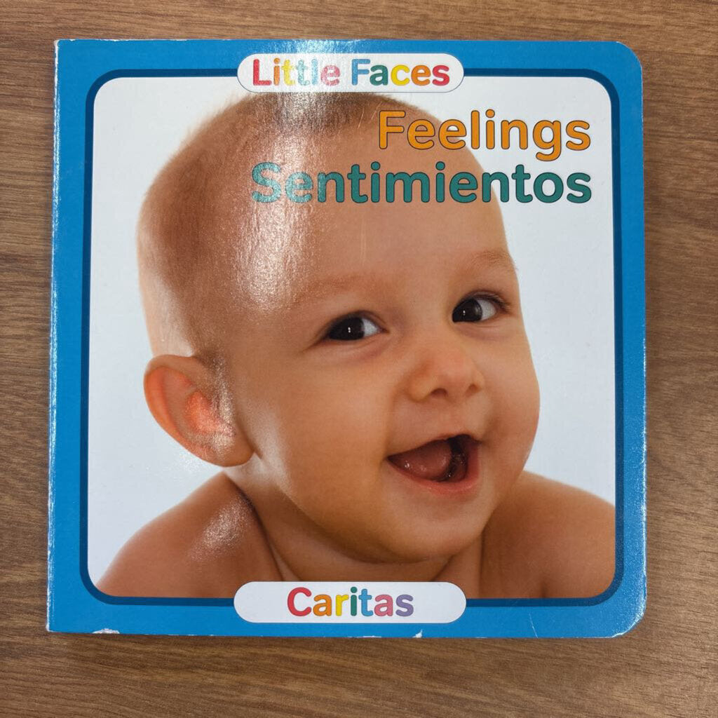 The Feelings Book