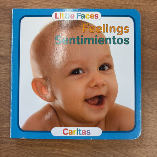 The Feelings Book