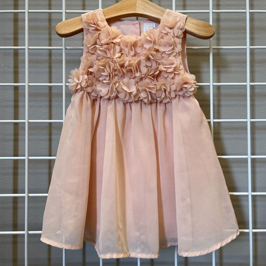 Baby Gap Flower Party Dress - 18/24m