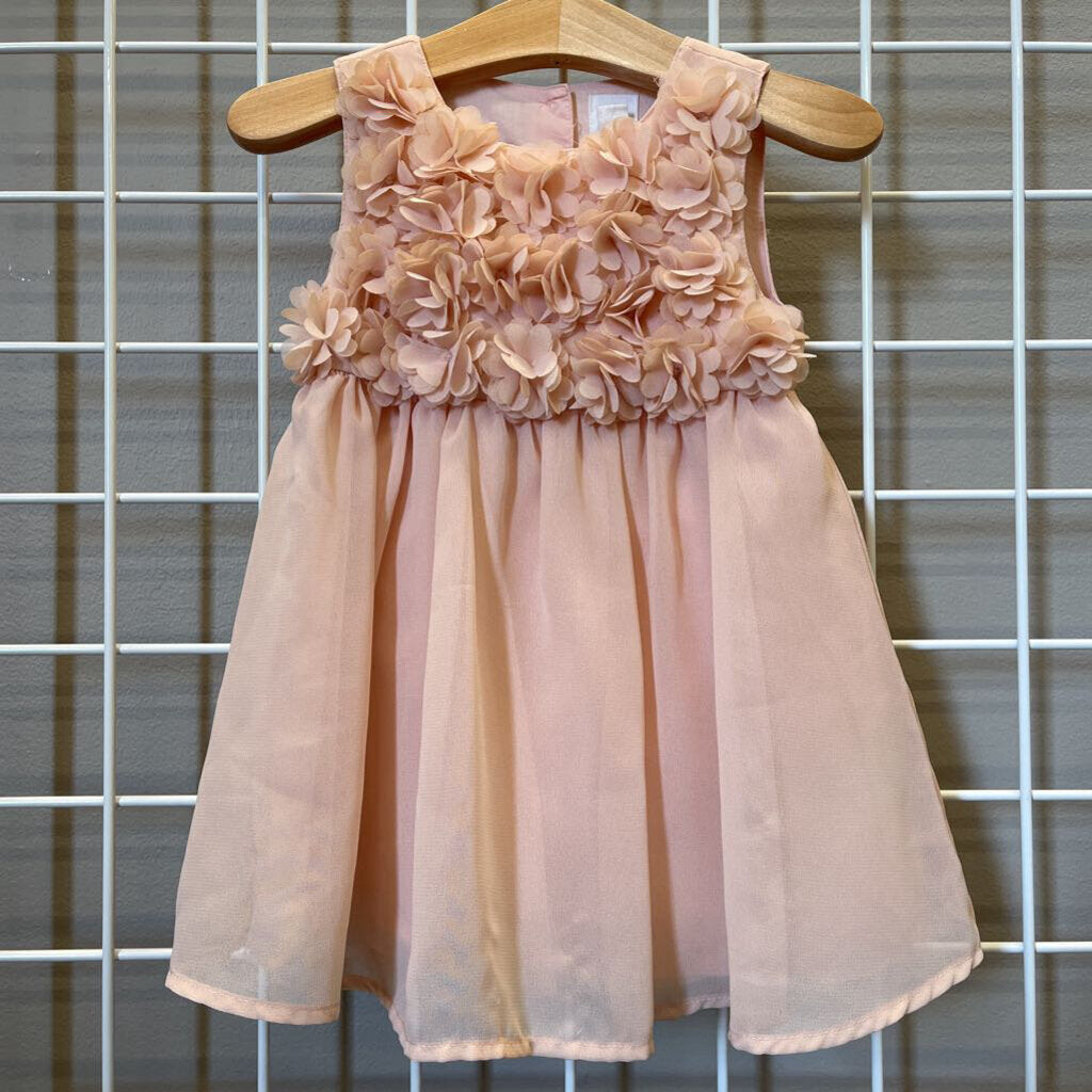 Baby Gap Flower Party Dress - 18/24m