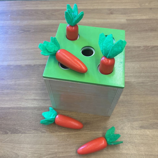 Wood Carrot Play Set