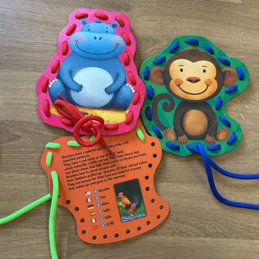 Set of Lacing Cards