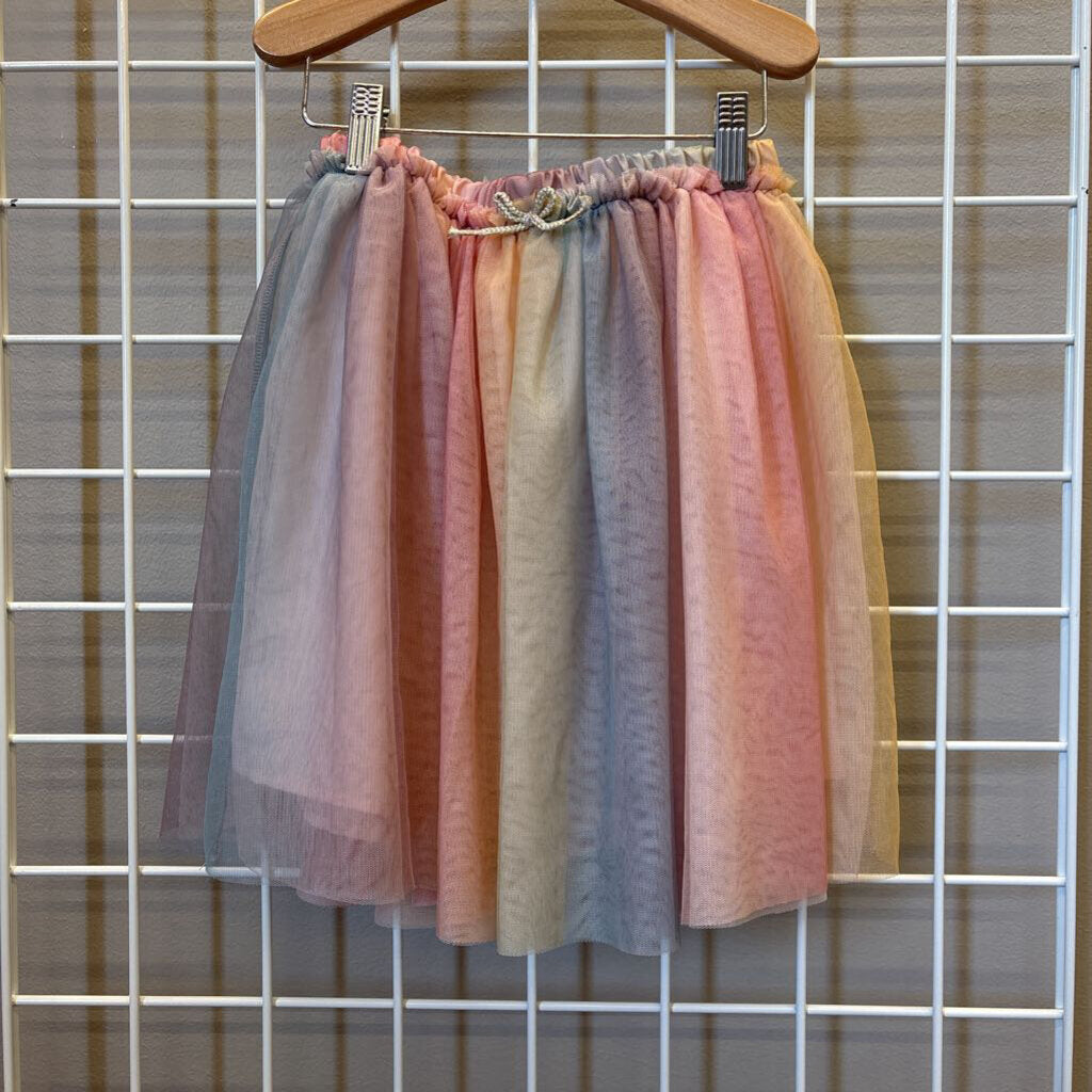 H&M Rainbow Tulle Skirt - 8/10